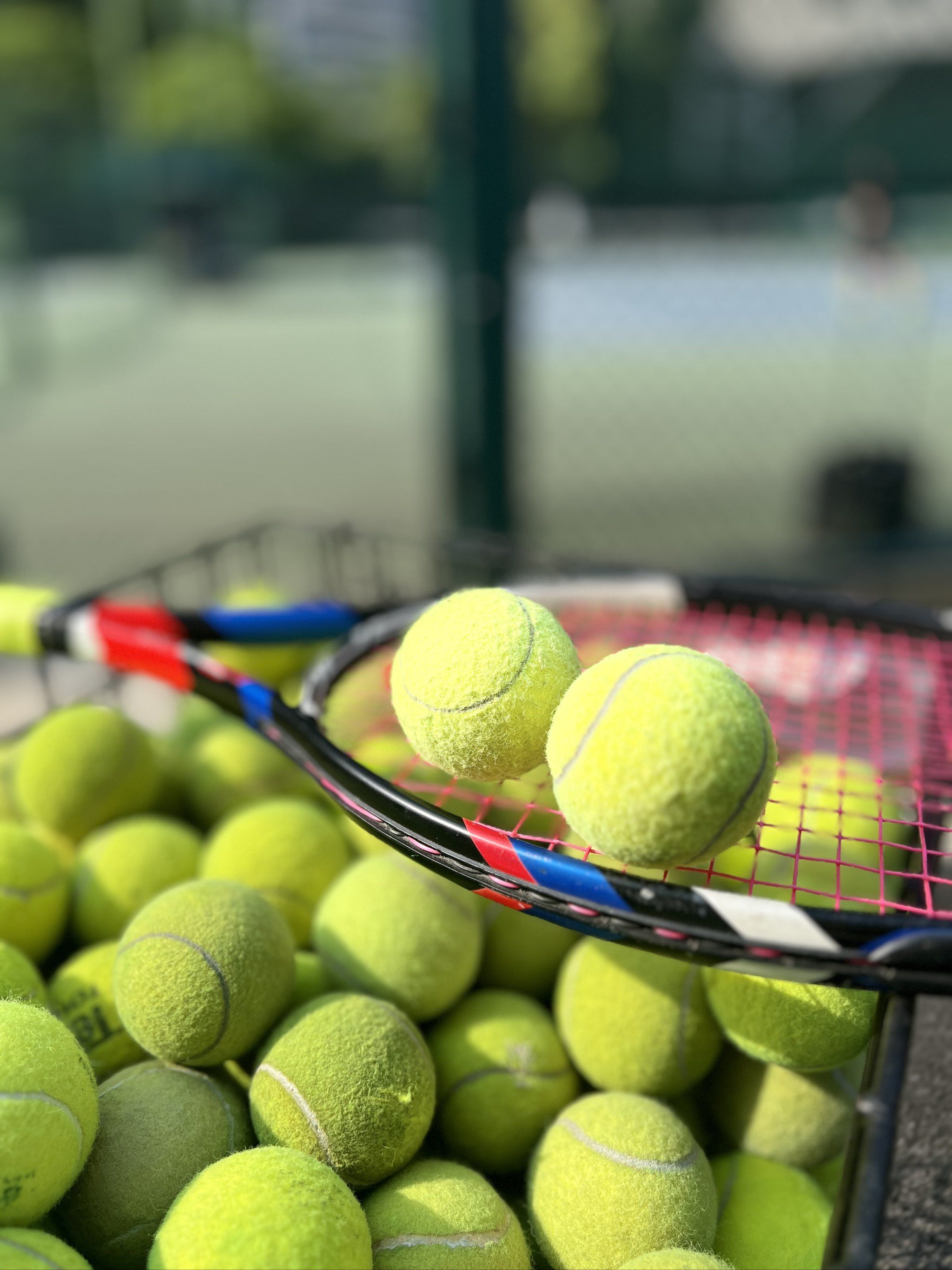 替换括号内 替换括号内